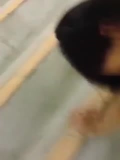广东某高校学生情侣分手后男子把在楼梯啪啪视频曝光